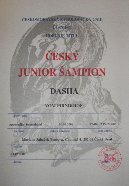 Český junior šampion
